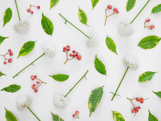 Top view group of leaves and flowers