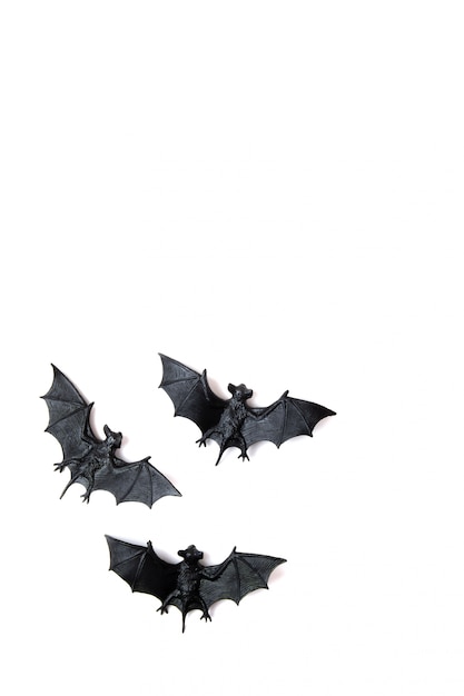 Vista dall'alto della decorazione di halloween con pipistrelli di plastica. festa, invito, decorazione di halloween