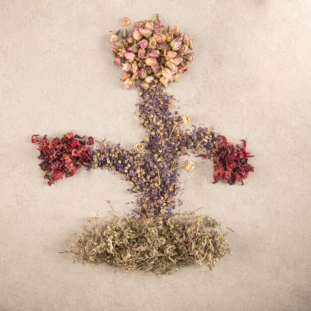 Top view of herbal tea with  and dry flowers on cream background