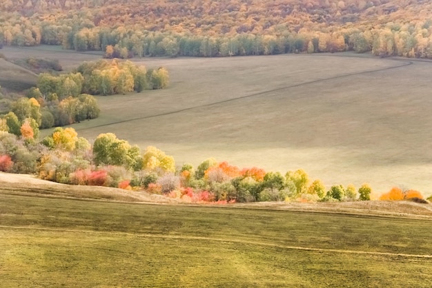 Top view of the hills field and autumn forest