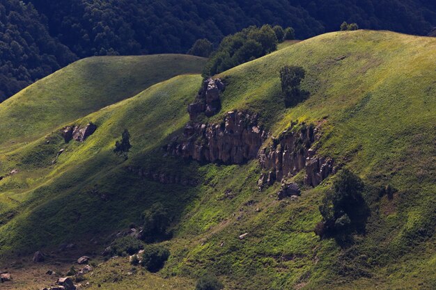 草が生い茂った丘や牧草地の平面図。ロシアのコーカサスで撮影。