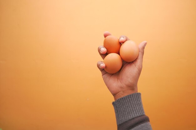 Top view of holding many eggs