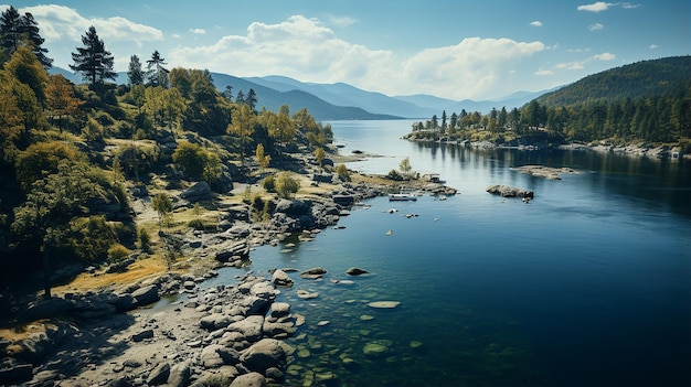 Top View of Lake Island with White Trees in Batak