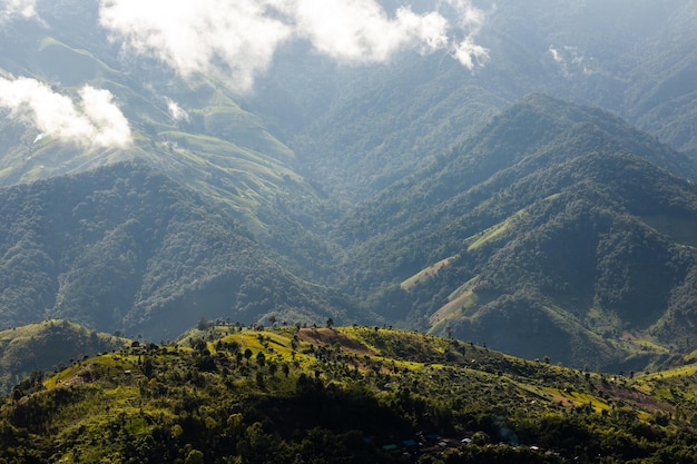 Top view Landscape of Morning Mist with Mountain Layer at north of Thailand mountain ridge and clouds in rural jungle bush forest