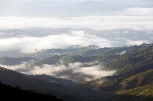 태국 북쪽의 산꼭대기와 시골 정글 덤불 숲의 구름과 함께 산층과 함께 아침 안개의 풍경