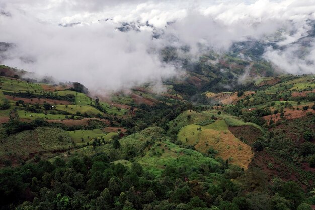 Top view Landschap van Morning Mist met berglaag in het noorden van Thailand bergkam en wolken in landelijk jungle bush bos