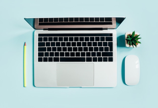 top view of laptop, computer mouse, pencil and cactus on blue