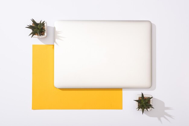 Top view of laptop green plants and yellow paper