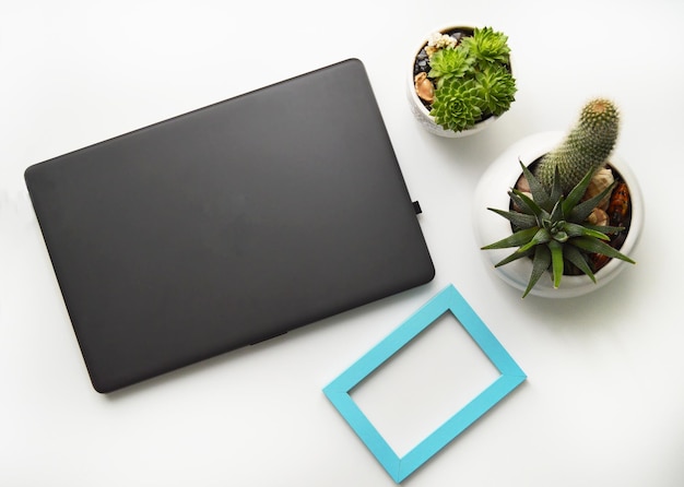 top view laptop on white table frame and potted flowers