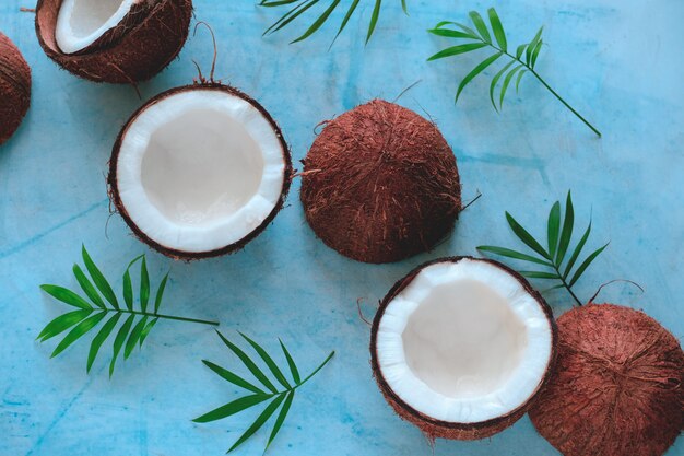 Top view layout of fresh coconuts and green tropical leaves