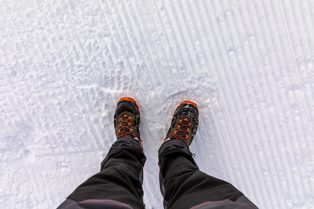 Top view of legs on snow