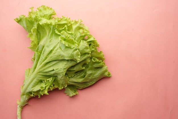 Top view of lettus leaf on black background