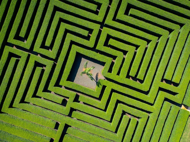 Photo a top view of a maze at cave of wonders on a sunny day