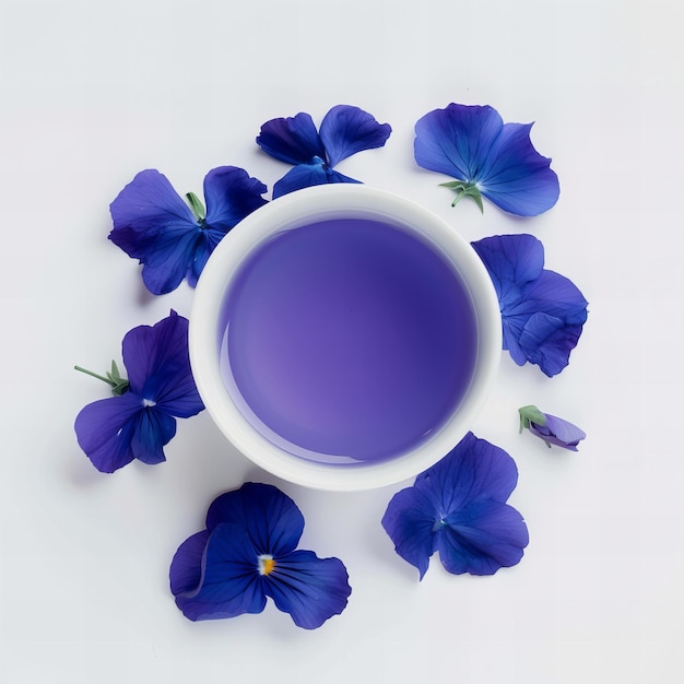 Top view minimalistic of an isolated Blue Butterfly Pea Flower Tea