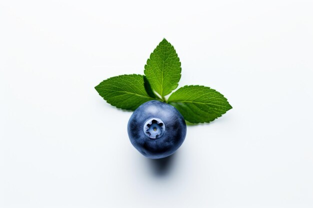 Фото Минималистический вид с вершины изолированного blueberry bliss