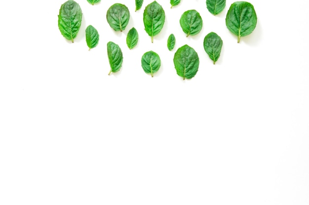 Photo top view of mint herbs on white background minimal raw herb concept design image