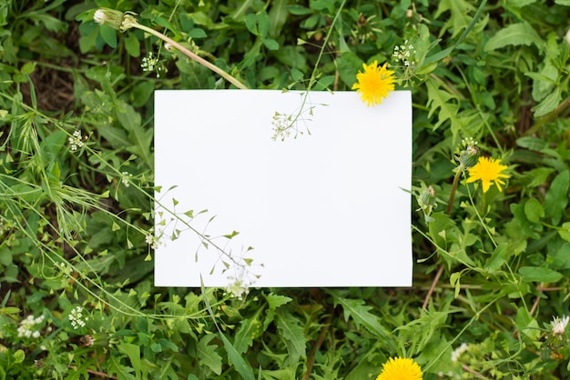 Top view mock up leaves with paper note