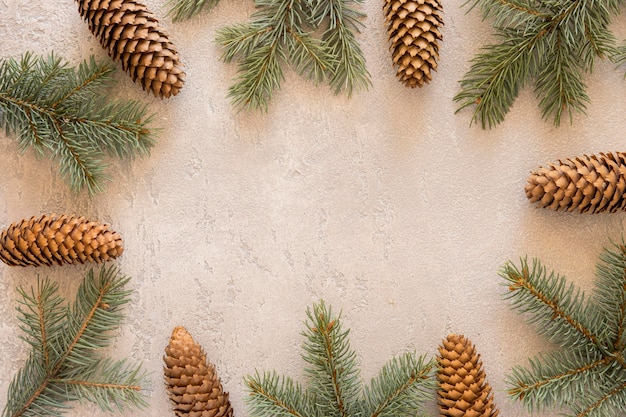 Top view natural pine needles and cones