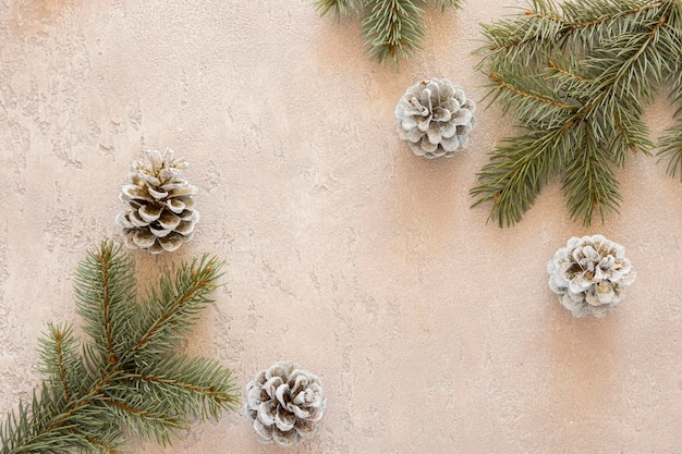 Top view natural pine needles