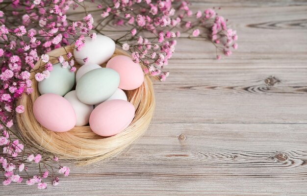 Top view of a nest with colorful eggs Place for text Easter cardPink flowers and a nest with egg