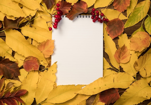 Top view of a notebook with autumn bright colorful leaves