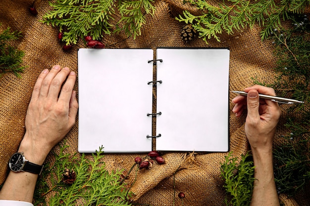 top view on notebook with festive fir