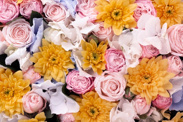 写真 美しい色の花の上面図