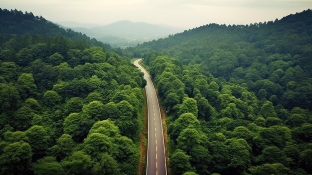 写真 緑の森と山を通過する田舎の道路のトップビュー