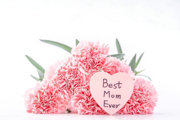 사진 우아한 개화 달콤한 핑크 색상 부드러운 카네이션 카드와 밝은 흰색 배경에 고립의 상위 뷰, 5 월 어머니의 날 엄마 인사말 디자인 개념, 가까이, 복사 공간