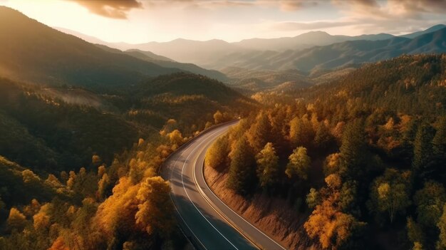 写真 夕暮れの森の山道のトップビュー