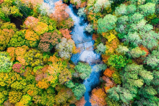 写真 秋の空中写真の川と森の平面図