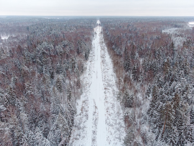 冬の森、冬の道の間の道路の上面図