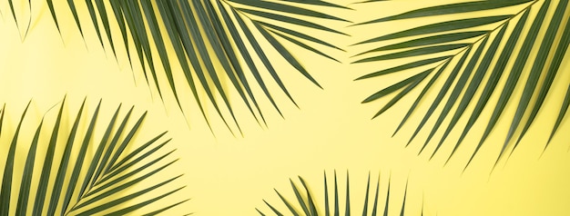 Фото Вид сверху тропической пальмовой ветви, изолированной на ярко-желтой поверхности с копией пространства.