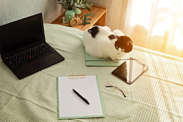 Top view of office supplies in the bed, informal working environment with laptop, notepad, tea cup. Remote work, home office, freelancer, self isolation concept