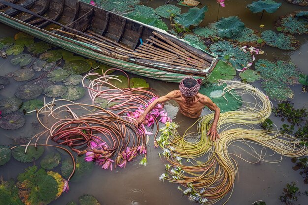 Vista dall'alto vietnamita vecchio uomo raccogliendo il bellissimo loto rosa nel lago