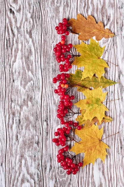 Фото Вид сверху на гроздья калины и опавшие листья на деревянном фоне с копировальным пространством