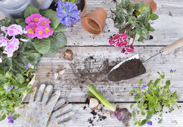 写真 植木鉢と園芸テーブルの土でいっぱいシャベルのトップビュー