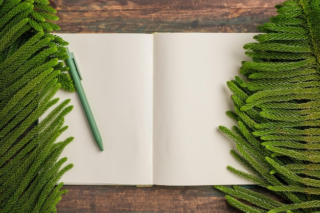 Top view open book with green pen and pine leaf on wooden table background