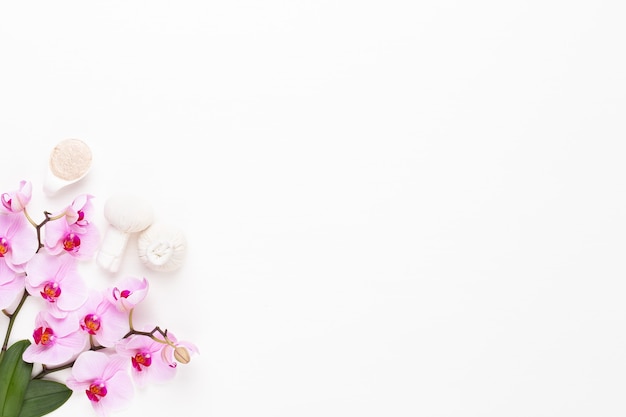 Top view of orchid flowers