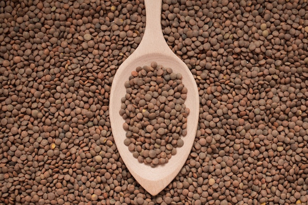 Top view organic beans in a spoon