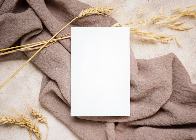 Photo top view of paper with autumn plant and textile