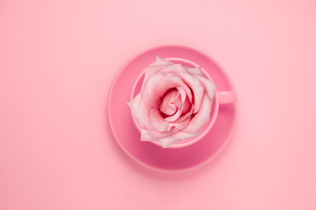 Top view pastel cup with pink rose on a pink