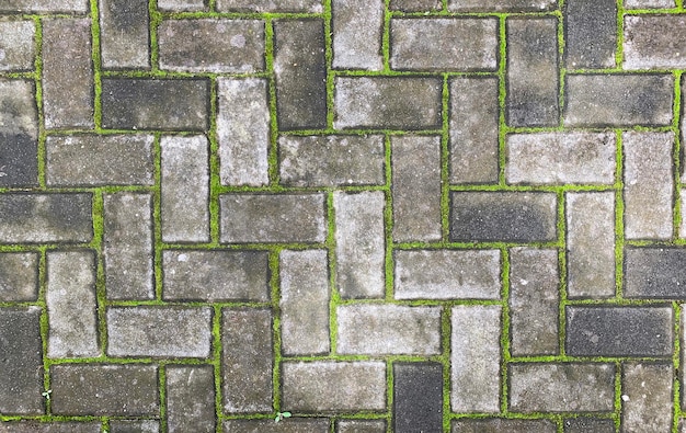 Top view of paving stones with moss for natural background