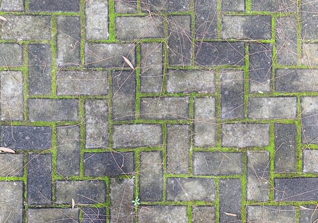 Top view of paving stones with moss for natural background