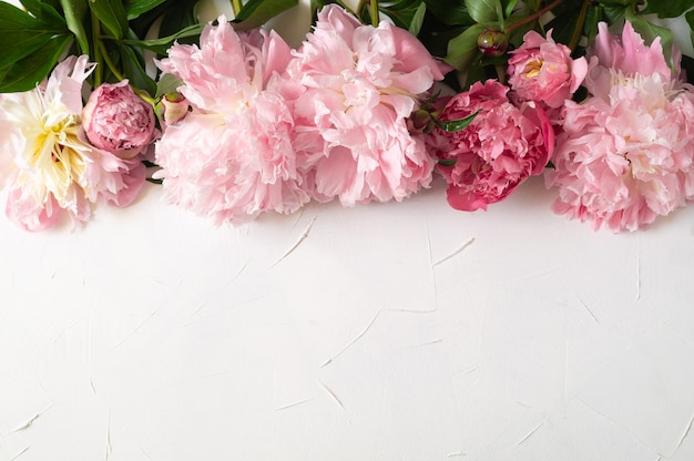 Top view peony flower with leaves