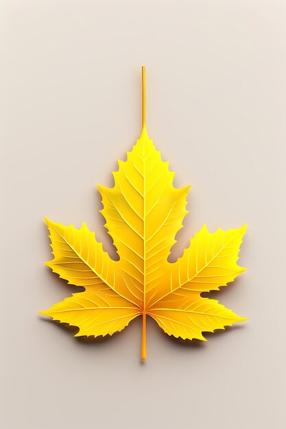 Top view perfect yellow maple leaf isolated on white background