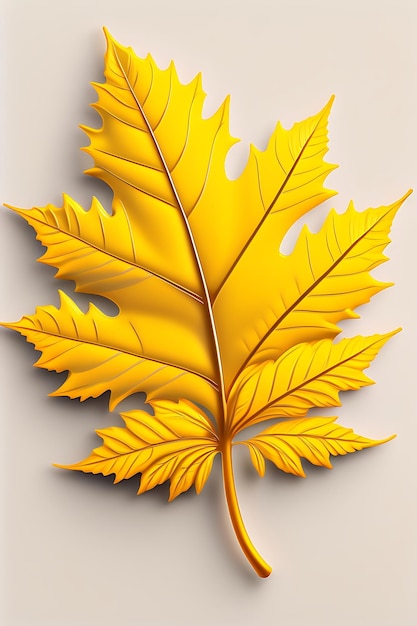 Top view perfect yellow maple leaf isolated on white background