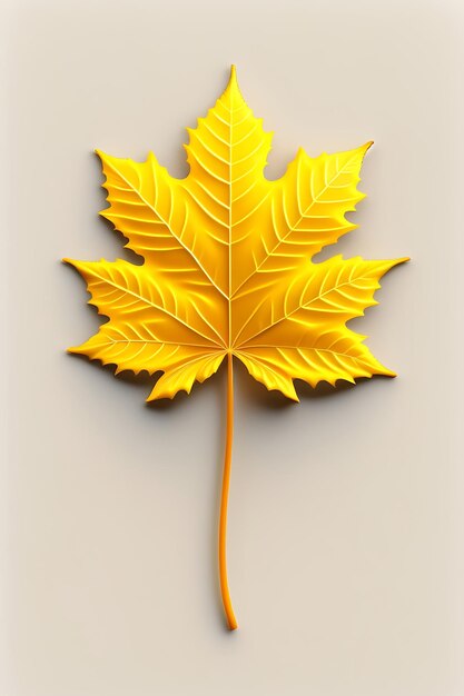 Top view perfect yellow maple leaf isolated on white background