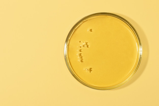 Photo top view of the petri dish with bubbles insidewarm yellow background with copy space