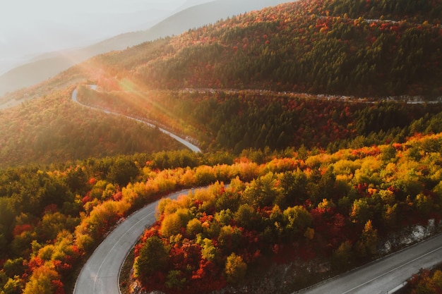 Top view photo of a forest road in autumn